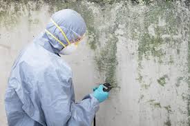 Best Forensic Mold Investigation  in Norwood Young America, MN